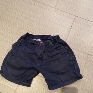 Chubbies Shorts